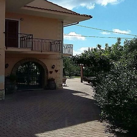 B&B Grandinetti Nocera Terinese Ngoại thất bức ảnh